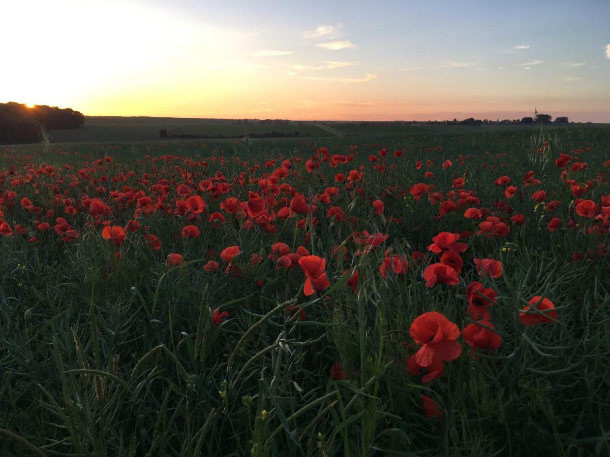 Dupres House, Chavasse Farm, Somme Battlefields Villa Hardecourt-aux-Bois Buitenkant foto
